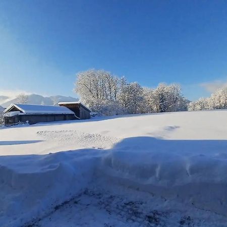 Ferienwohnung Geierstein Wackersberg 外观 照片