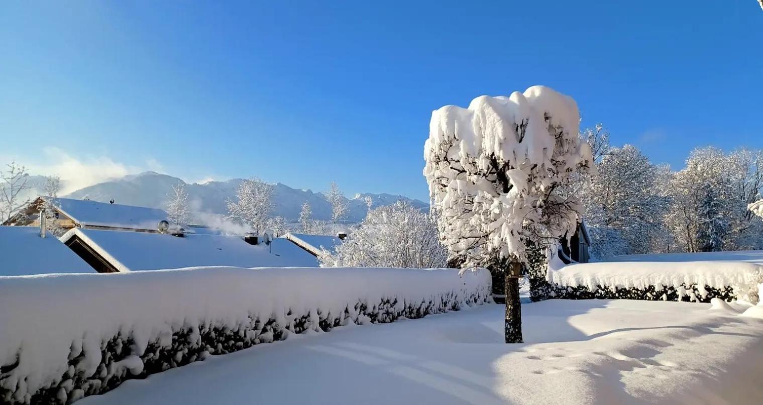 Ferienwohnung Geierstein Wackersberg 外观 照片